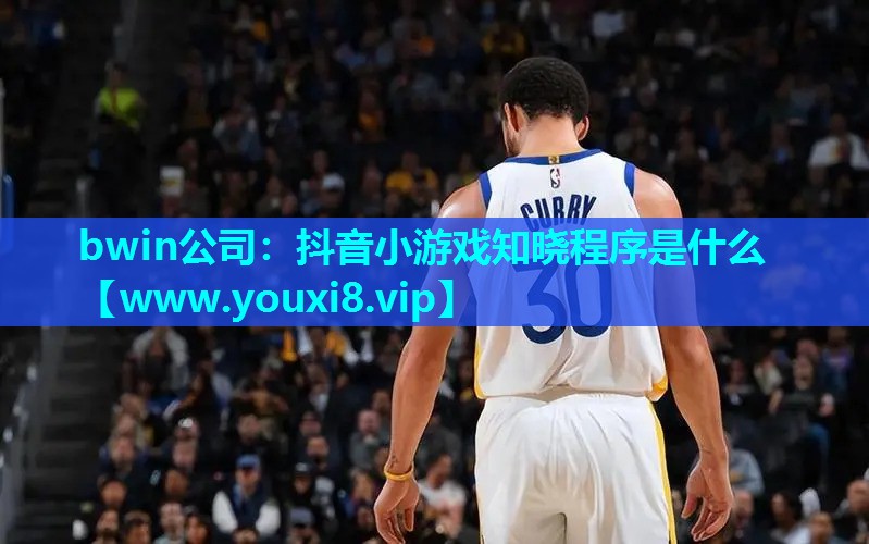 bwin公司：抖音小游戏知晓程序是什么