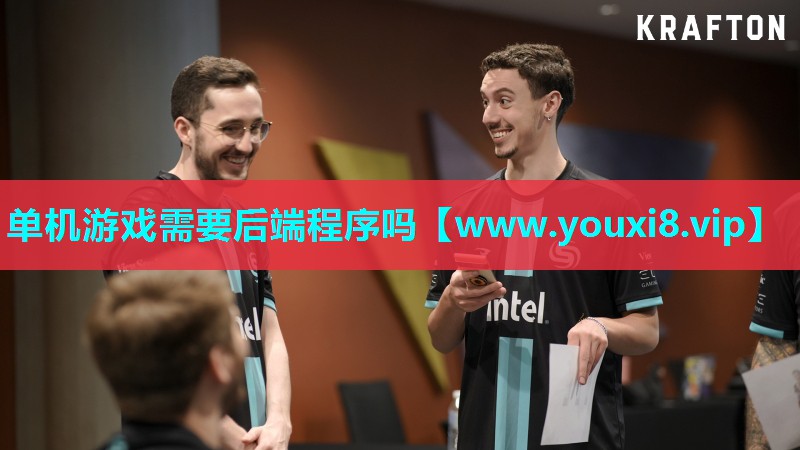 单机游戏需要后端程序吗