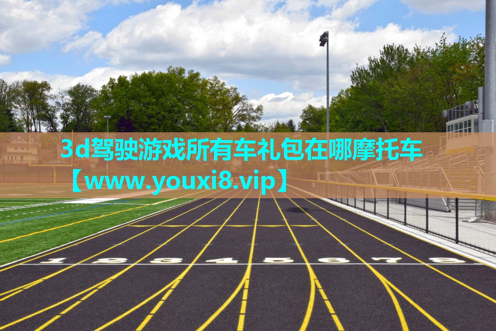 3d驾驶游戏所有车礼包在哪摩托车