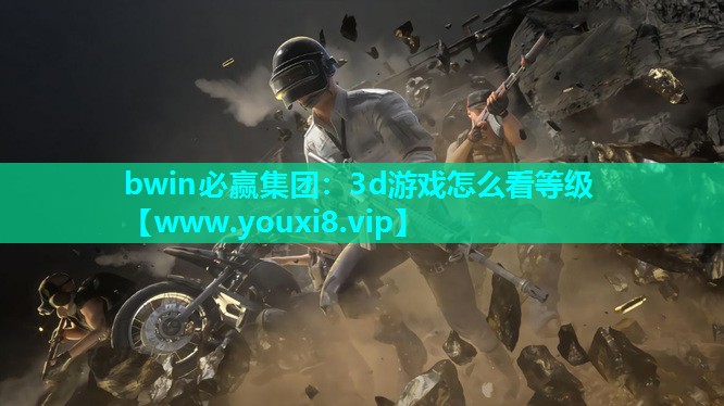 3d游戏怎么看等级