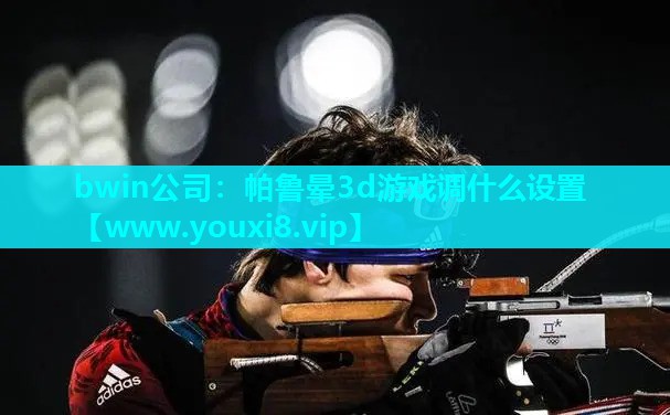 帕鲁晕3d游戏调什么设置