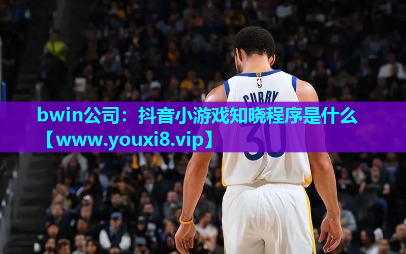 抖音小游戏知晓程序是什么