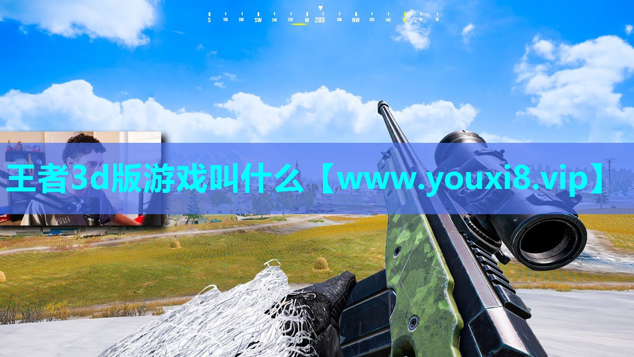王者3d版游戏叫什么
