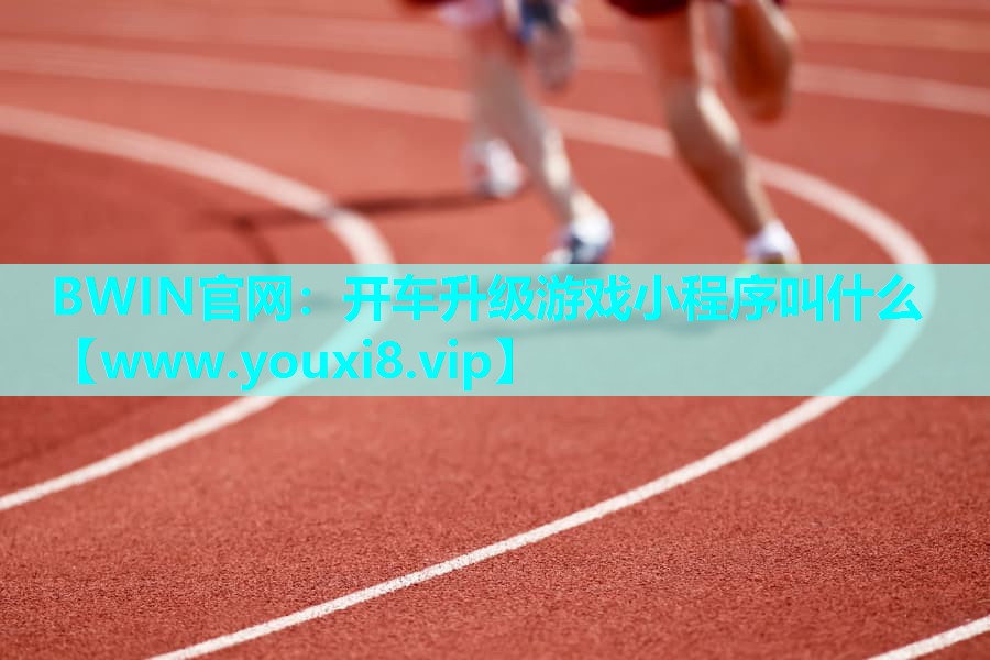 开车升级游戏小程序叫什么