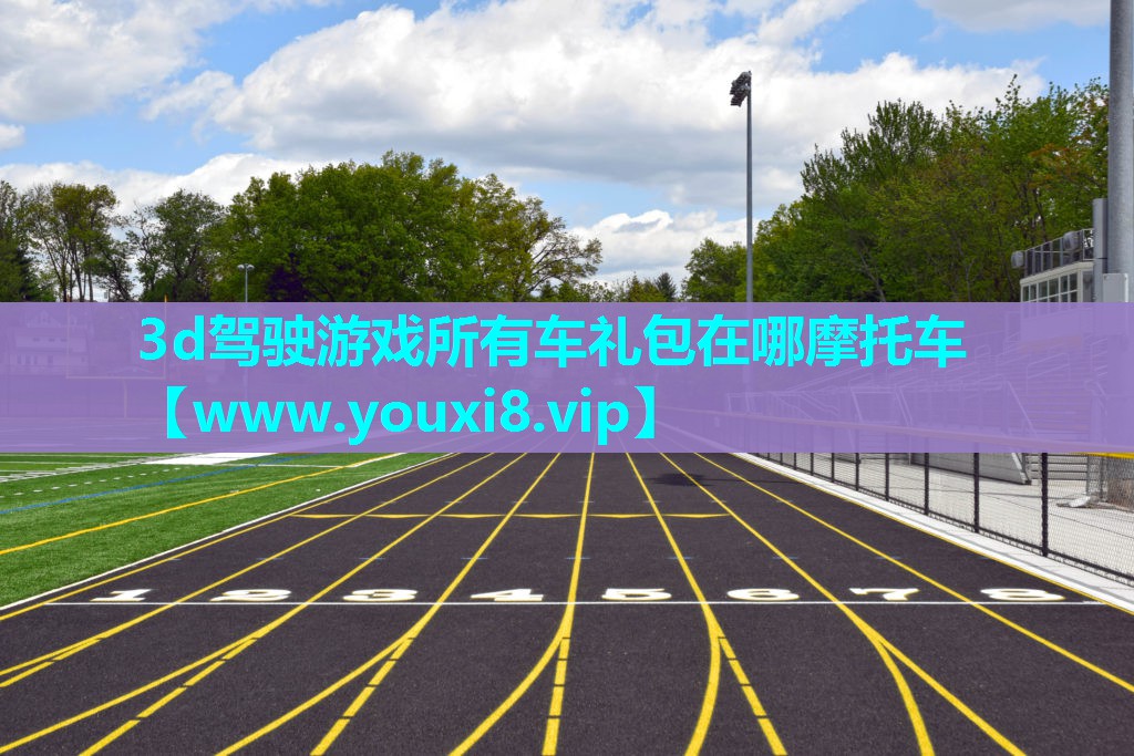 3d驾驶游戏所有车礼包在哪摩托车